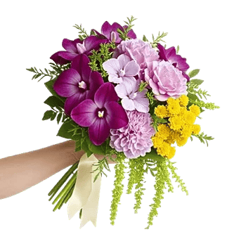 Orchid Bloom Cascade