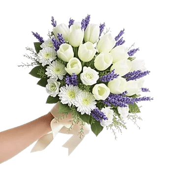 Ivory Garden Grace