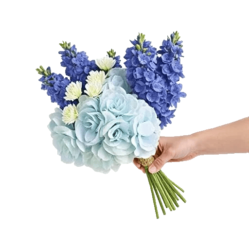 Sapphire Bloom Whisper