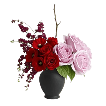 Crimson Blossom Harmony