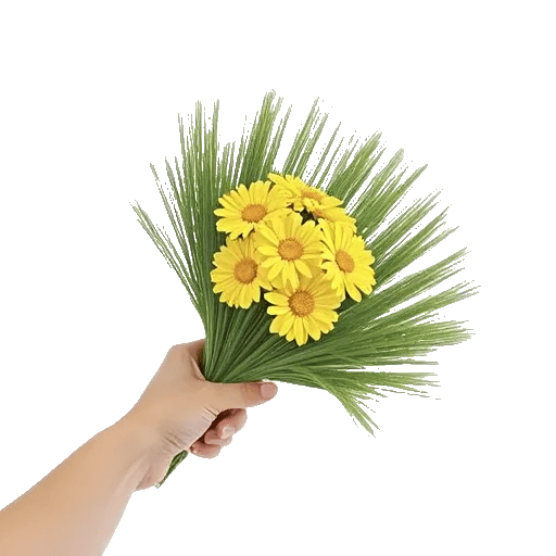 Blossom Harmony Display