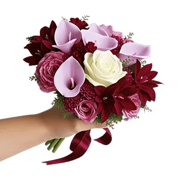 Elegant Calla Lilies