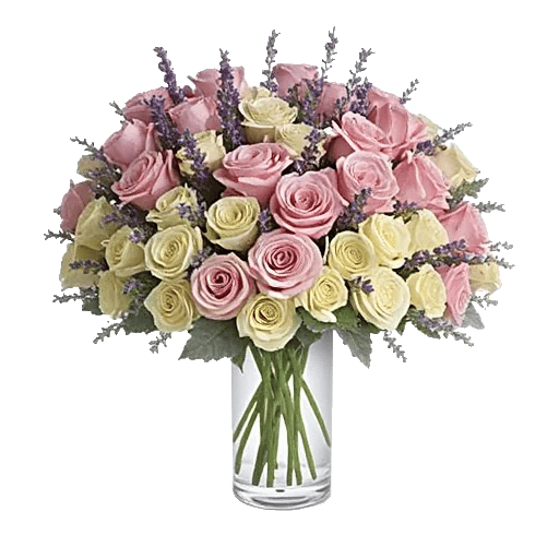 Pink Pastel Roses