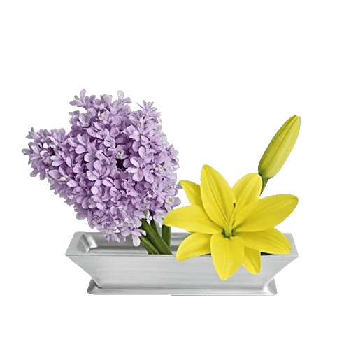 Graceful Lily Display