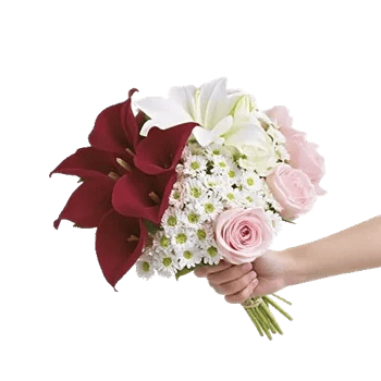 Elegant Calla Lilies