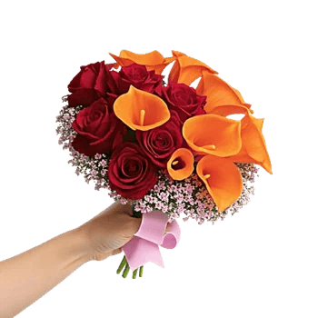 Crimson Rose Elegance