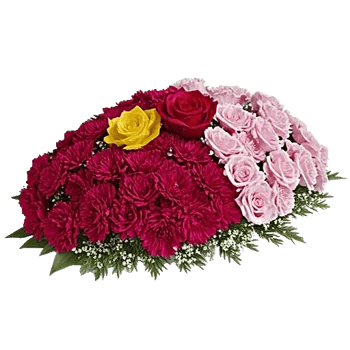 Delicate Petal Cascade