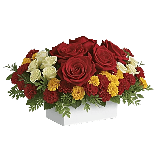 Crimson Rose Elegance