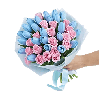 Blossom Petal Serenity