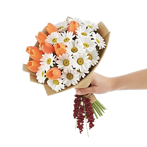 Scarlet Tulip Splendor