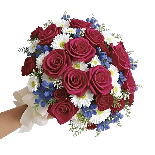 Blushing Rose Symphony