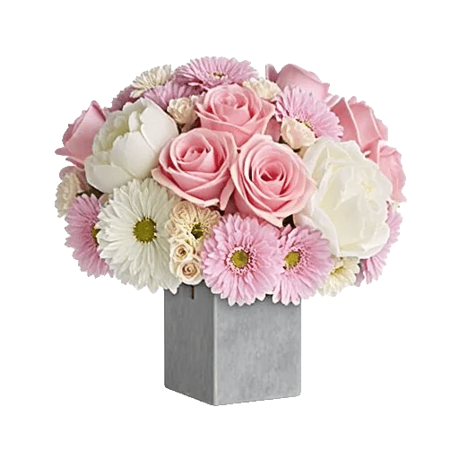 Petal Radiance Bliss