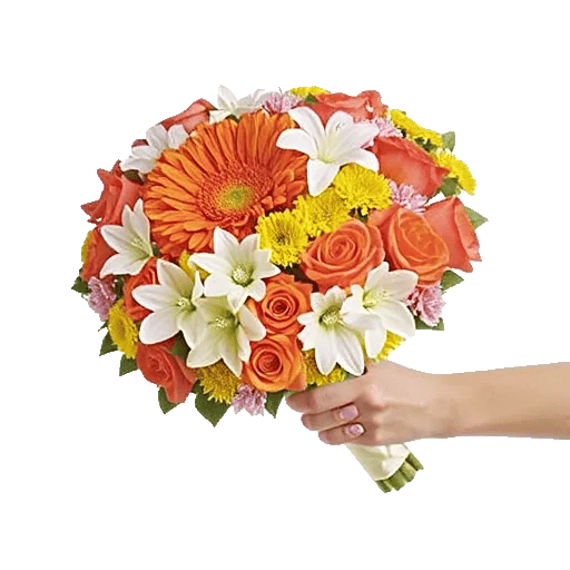 Radiant Bloom Cascade