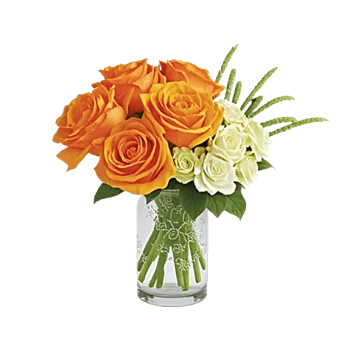 Radiant Rose Symphony