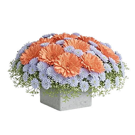 Blush Romantic Centerpiece