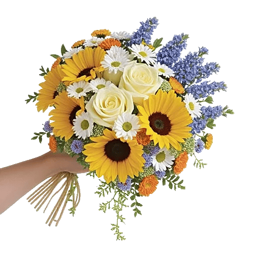 Ivory Blossom Radiance