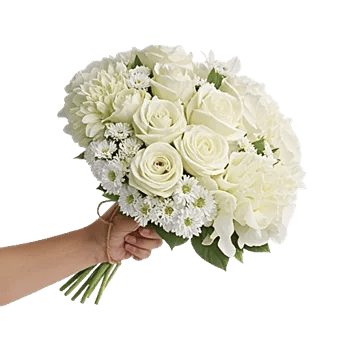 Petal Grace Harmony
