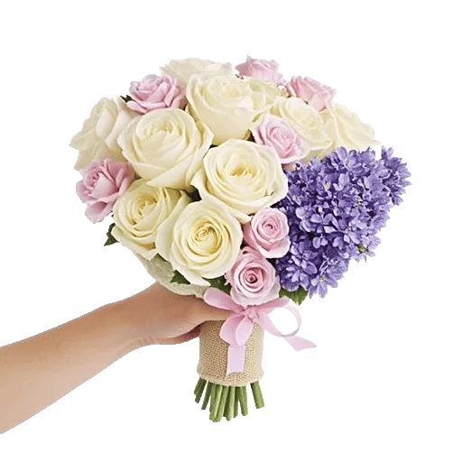 Blushing Rose Symphony