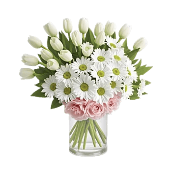 Ivory Blossom Radiance