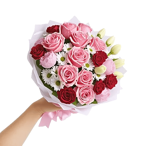 Pastel Pink Roses