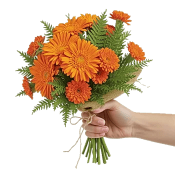 Vibrant Orange Delight