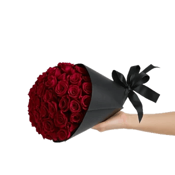 Crimson Rose Elegance