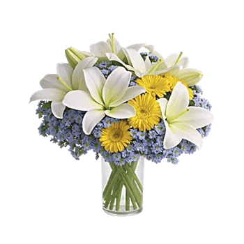 Blooming Serenity Display