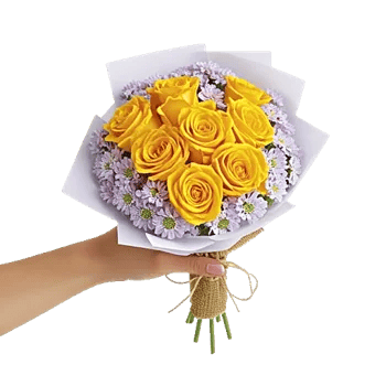 Blushing Rose Symphony