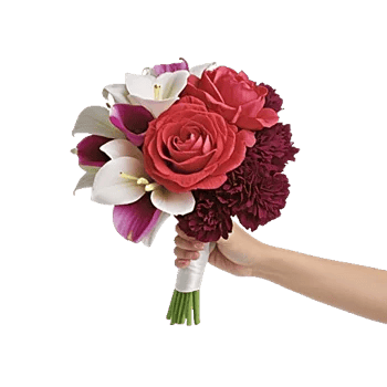 Peony Petal Harmony