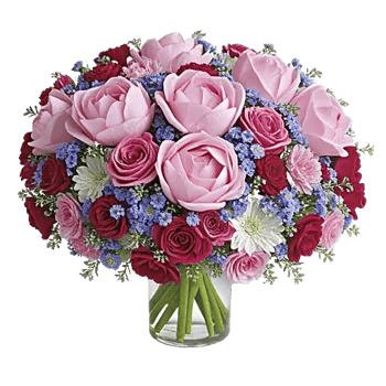 Petal Radiance Bliss