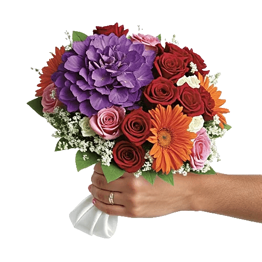Petal Harmony Bliss