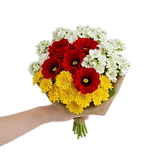 Blossom Harmony Display