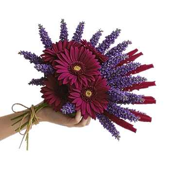 Crimson Blossom Harmony