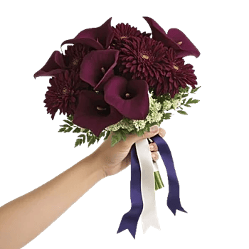 Elegant Calla Lilies