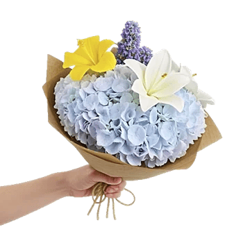 Serene Petal Harmony