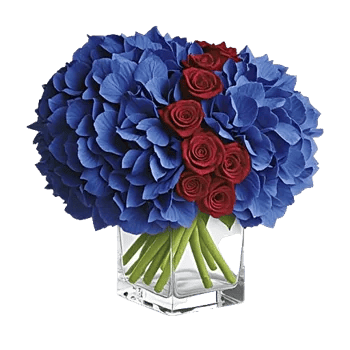 Sapphire Bloom Whisper
