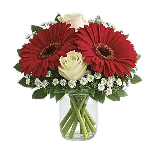 Petal Radiance Bliss