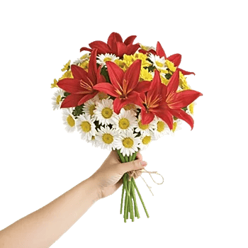 Graceful Lily Display