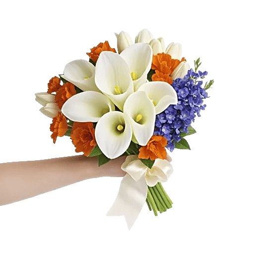 Elegant Calla Lilies