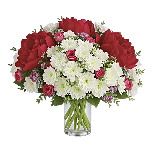 Petal Radiance Bliss