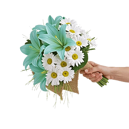 Delicate Petal Cascade