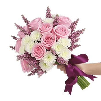 Pastel Pink Roses