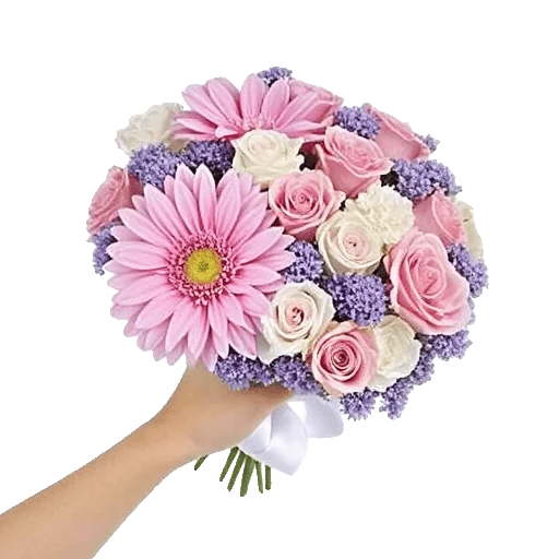 Pastel Pink Roses