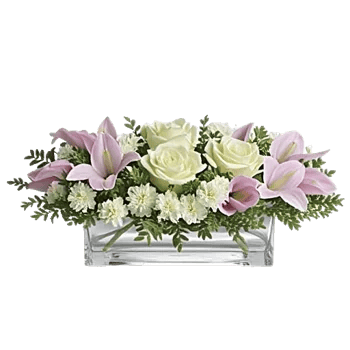 Delicate Petal Cascade