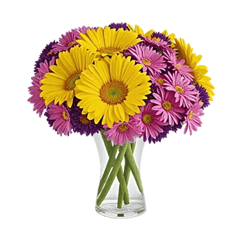 Petal Radiance Bliss