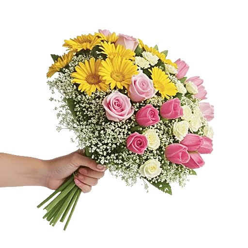 Blossom Harmony Display