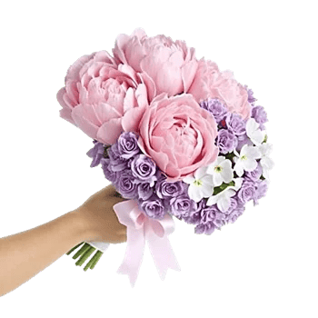 Peony Petal Harmony