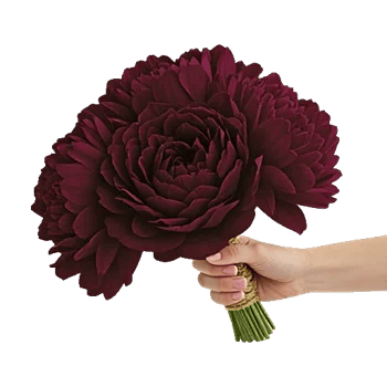 Peony Petal Harmony