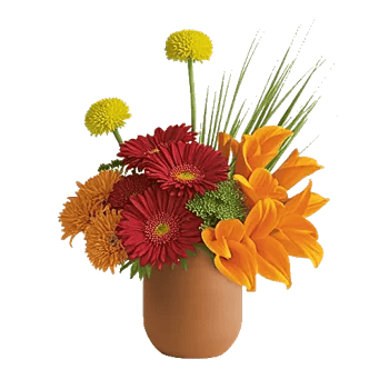 Petal Radiance Bliss