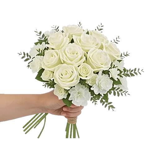 Ivory Garden Grace